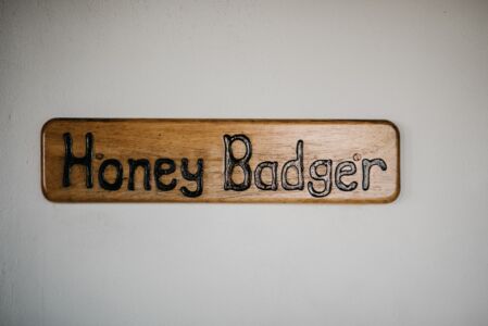 The Village Lodge Honeybadger Room name
